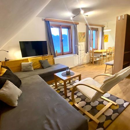 Apartman Ivko Letohrad Exterior foto