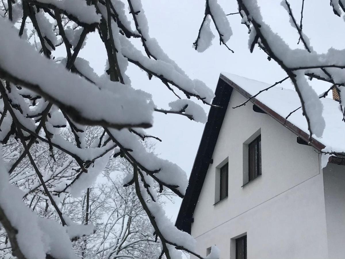 Apartman Ivko Letohrad Exterior foto